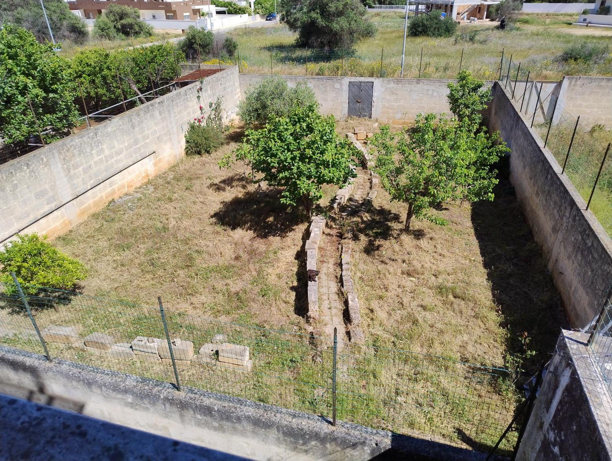 Favolosa Casa Con Terrazza, Idromassaggio, Cortile E Garage Auto Carovigno Exterior foto